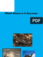 which biome is it anyway