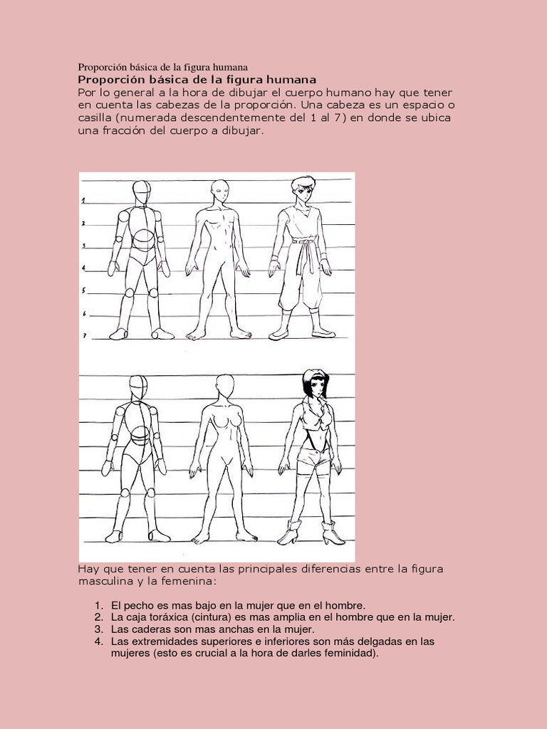 Proporciones de la figura humana | PDF | Perspectiva (Gráfica) | Mujer