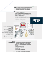 Lubricacion de Rodamientos