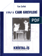 1971 Cam Grevleri