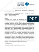 45 - Neuropsicologia Teoria e Prtica - Rev