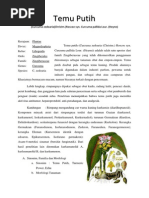 Download Temu Putih by Yovano Tiwow SN185300163 doc pdf