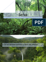Selva