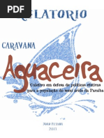 Relatorio Aguaceira Final