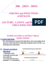 13-14 MBB306 Lecture - Virus Persistence and Latency - RJ