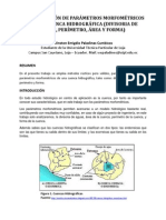 Morfologia de una cuenca Hidrografica