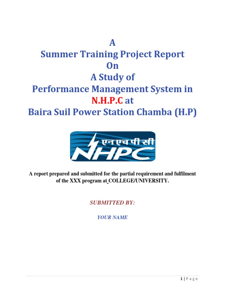 What is performance management process picture
