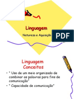 Fonoaudióloga - Linguagem