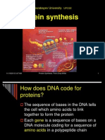 Protein Synthesis