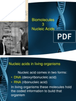 Biological Molecules 3.pptx