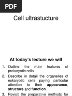 Cell Ultrastructure