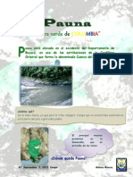 Pauna Tierra Verde de Colombia