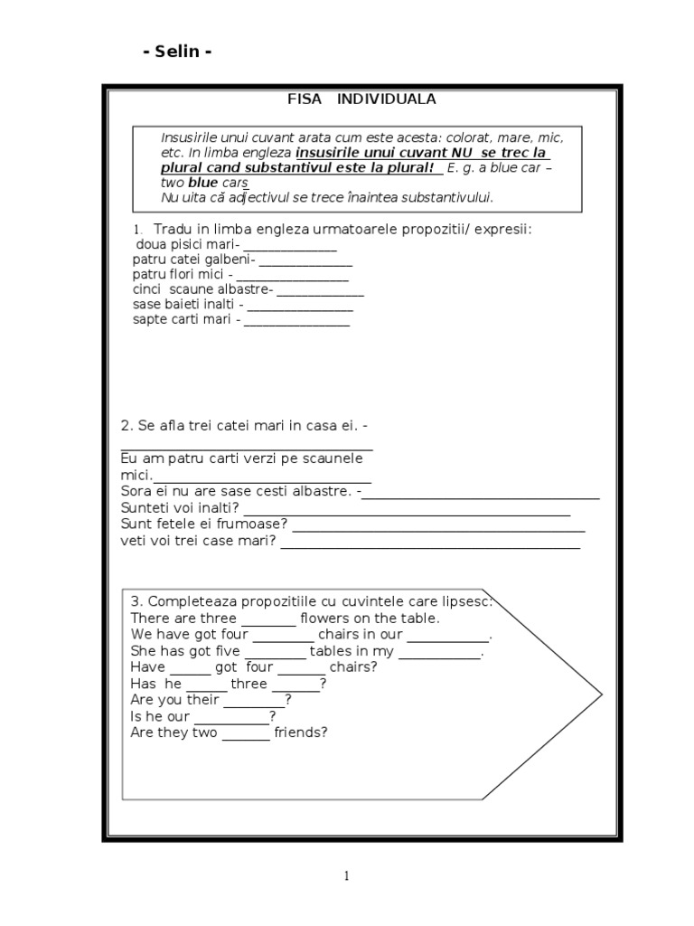 Fisa Individuala - Plural of Nouns  PDF