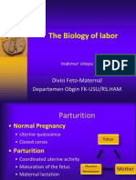 The Biology of Labor: Divisi Feto-Maternal Departemen Obgin FK-USU/RS - HAM