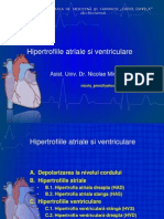 Lp2 EKG Hipertrofiile