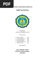 Download urin by Yuliana Purnamasari SN185459809 doc pdf