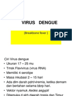 Virus Dengue