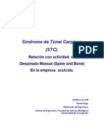 Síndrome de Túnel Carpiano (STC) - Relación Con Actividad de Despinado Manual (Spine and Bone) en La Empresa Acuícola.