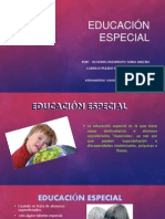 EDUCACIÓN ESPECIAL(1)