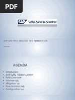 Sap GRC Risk Analysis and Remediation