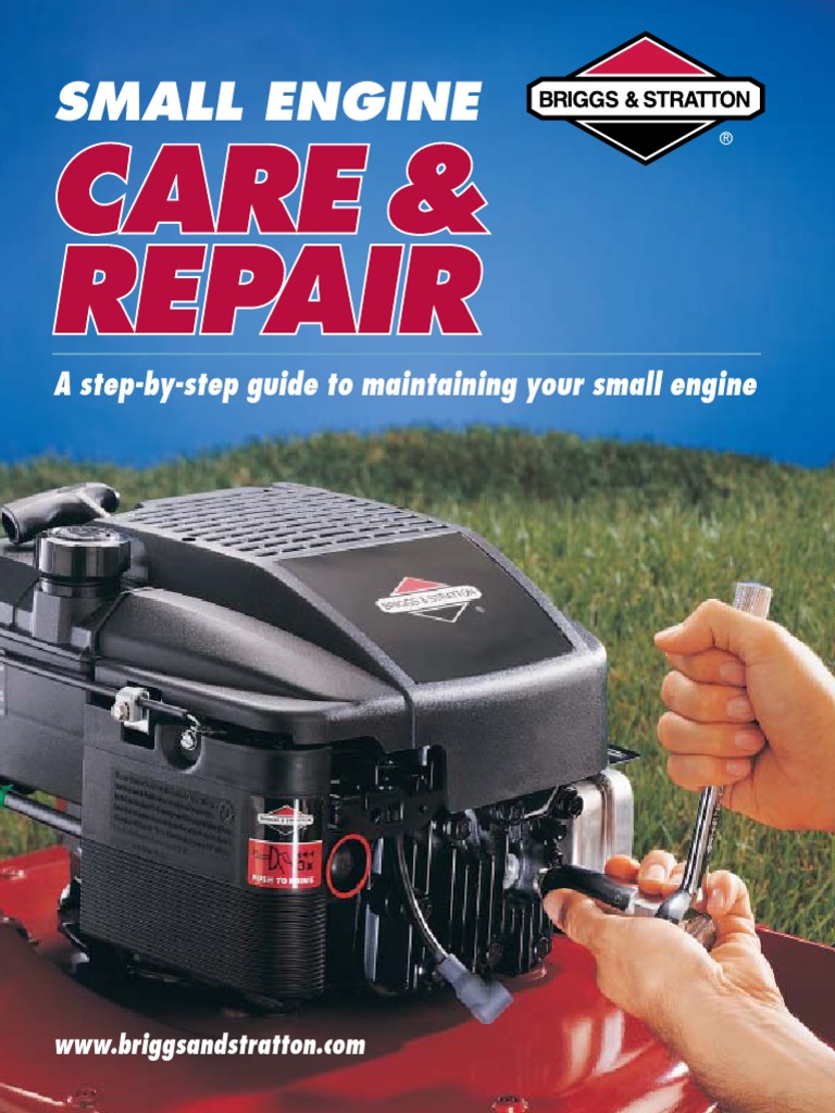 BRIGGS AND STRATTON 190CC ENGINE MANUAL PDF FREE DOWNLOAD visual data 7