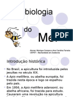 Microbiologia Do Mel