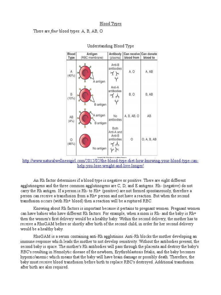 Abo Blood Type Table | PDF
