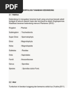 Download MORFOLOGI TANAMAN KEDONDONGdocx by Septian Edi Siswanto SN185579633 doc pdf