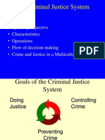 Goal of Criminal Justice System
