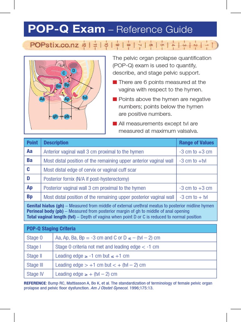 POP-Q Exam Reference Guide | PDF