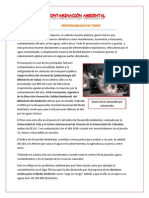 Contaminación Ambiental Ariculo de Opinión