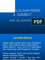 4 Pengelolaan Tanah Rawa Gambut