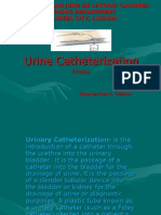 Urinary Catheterization Male