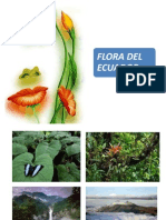 Flora Del Ecuador 2014