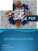 Specimen Collection 1 11/20/2013