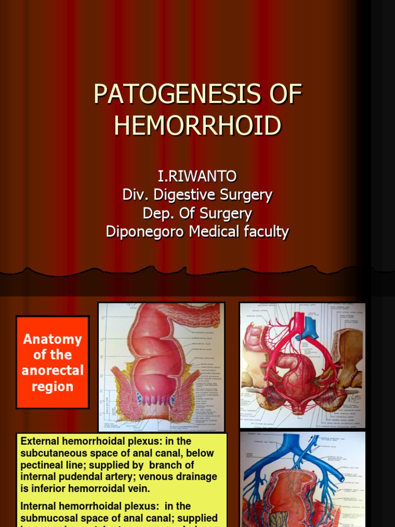 1_PATOGENESIS HEMORROID Hemorrhoid Vein