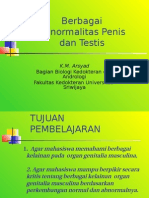 Berbagai Abnormalitas Penis Dan Testis