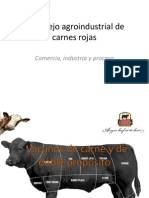 Complejo Agroindustrial Cárnico (Socio)
