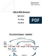 DNA RNA+Structure+Handout+VER++BCH5413++Fall+2013+II
