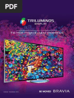 Download BRAVIA-Triluminos-catalouge by Sohan Rao SN185708241 doc pdf