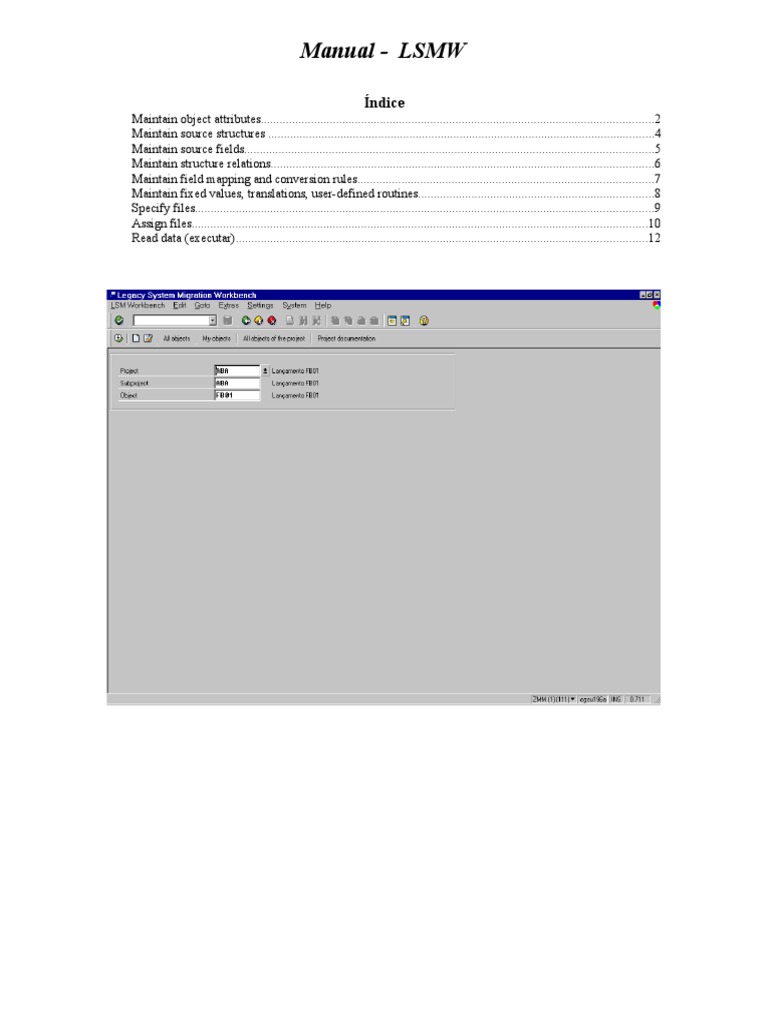 LSMW Manual: Data Migration Guide | PDF | Finance & Money Management ...