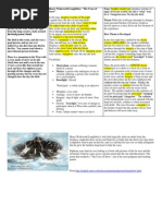 The Cross of Snow Analysis