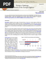 CFC Thematic Report - Europe’s Challenge