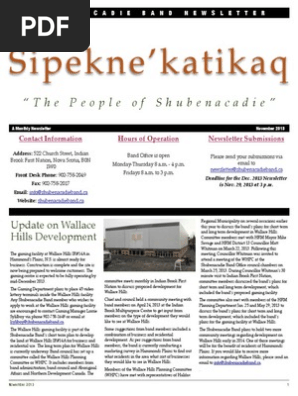 November 2013 Newsletter