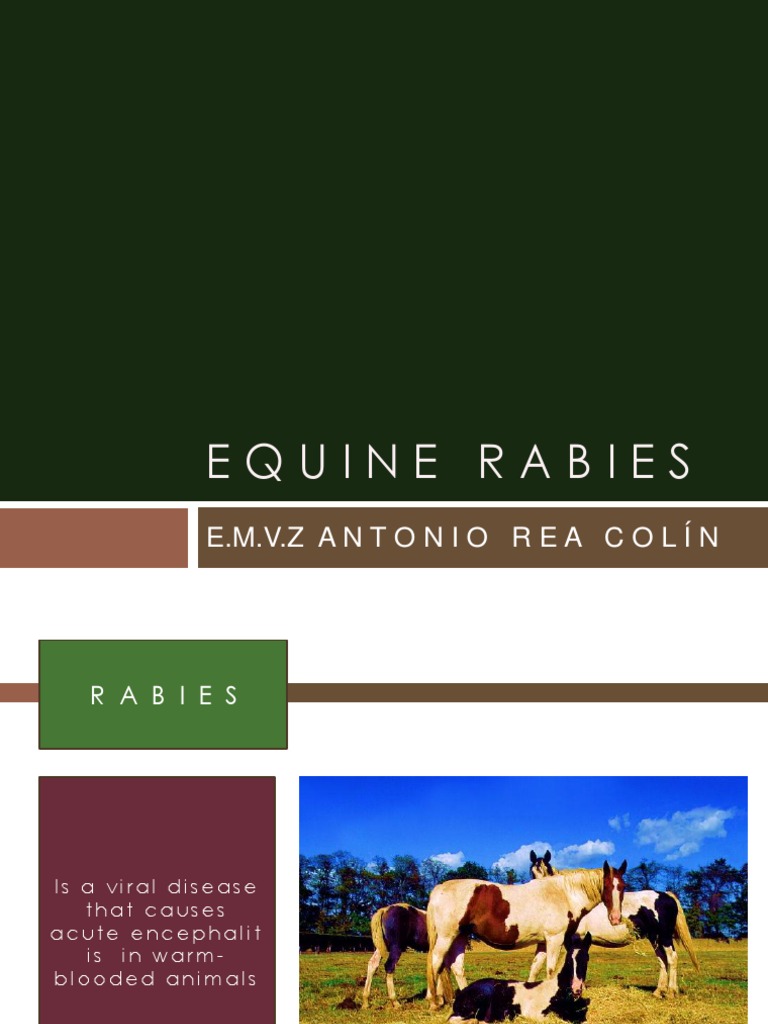 Equine Rabies Overview and Symptoms | PDF | Wellness | Science ...