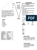 Dominio Conceptual Pregunta Central Dominio Metodológico