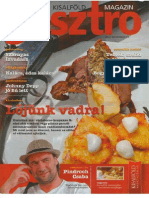 Kisalföld Gasztro Magazin 2013. November 13