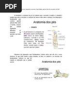 Anatomia do pé, Aparelho Locomotor, Paulo Mafra, Aula do dia 6 de novembro de 2013