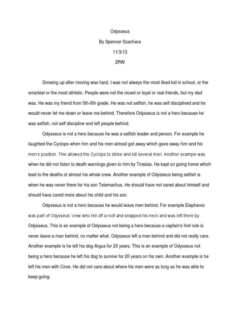 My hero essay examples image