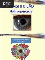 Constitución hidrogenóide